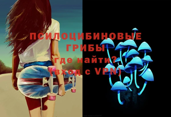 прущие крисы Абаза
